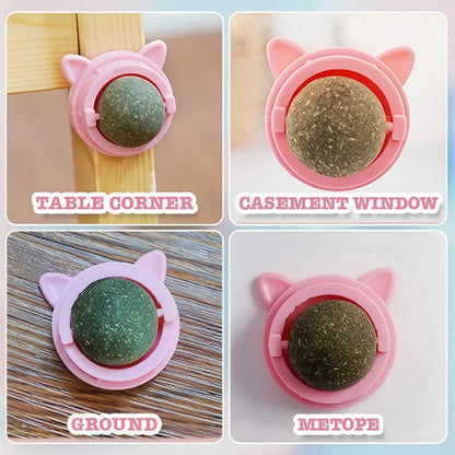 Pawfect Catnip Wall Balls – Natural Cat Mint Toys for Enrichment & Oral Health