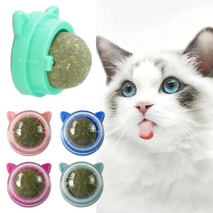 Pawfect Catnip Wall Balls – Natural Cat Mint Toys for Enrichment & Oral Health