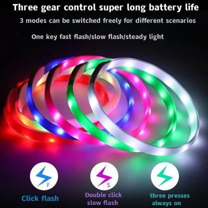 Pawfect Led Luminous Spot Collar - USB Rechargeable