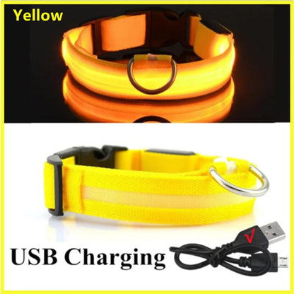 Pawfect Luminous Collar - USB Rechargeable