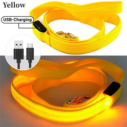 Pawfect LumiLeash - USB Rechargeable LED Dog Leash