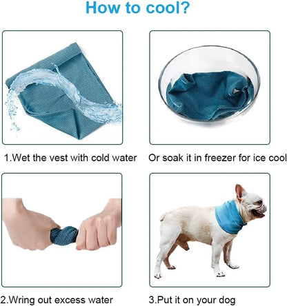 Pawfect Cooling Bandana for Dogs