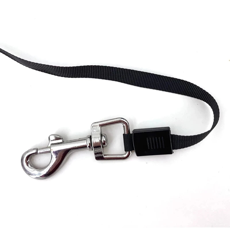 Pawfect Retractable Dog Leash – Tangle-Free Nylon Leash for Small & Medium Dogs
