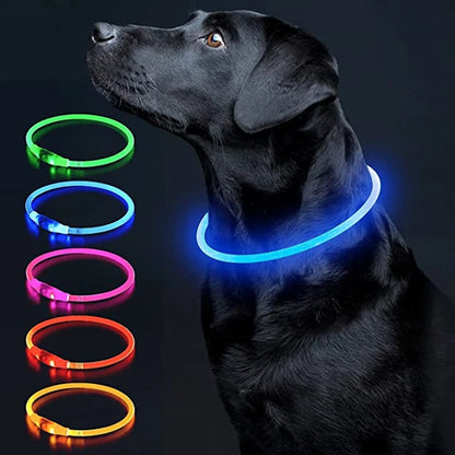 Pawfect 360 Degree LED Luminous Collar -  USB Rechargeable