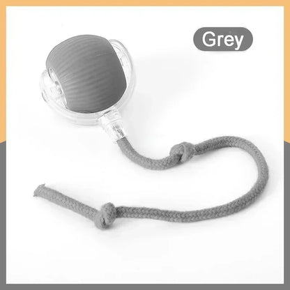 Pawfect Interactive Cat Ball with Rope