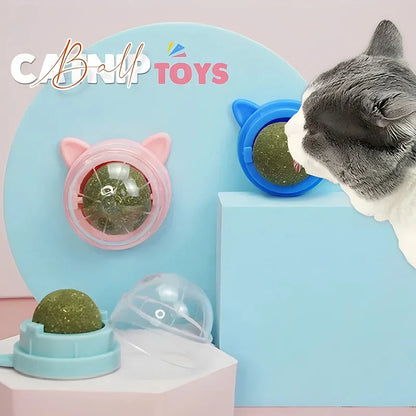 Pawfect Catnip Wall Balls – Natural Cat Mint Toys for Enrichment & Oral Health