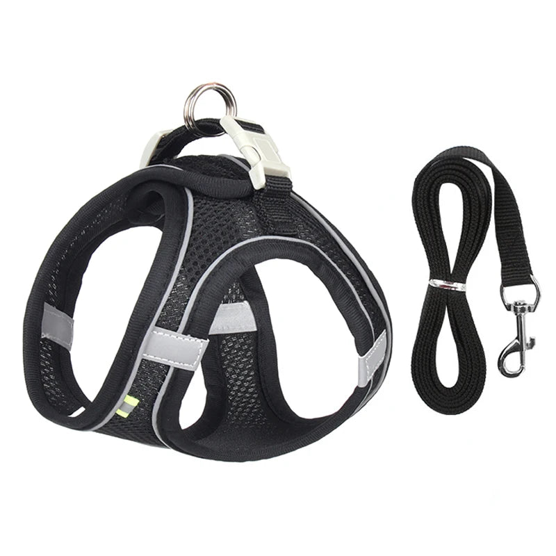 Pawfect Dog Harness & Leash Set for Small Dogs & Cats