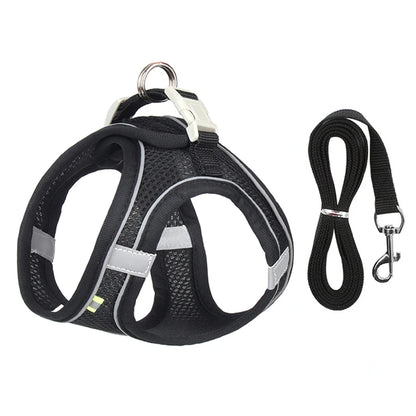 Pawfect Dog Harness & Leash Set for Small Dogs & Cats