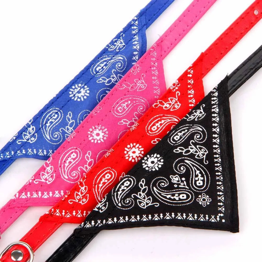 Pawfect Cat Bandana Collar