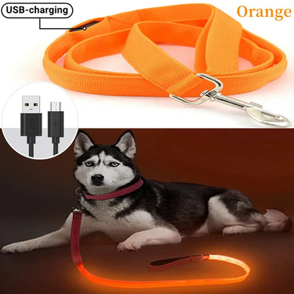 Pawfect LumiLeash - USB Rechargeable LED Dog Leash