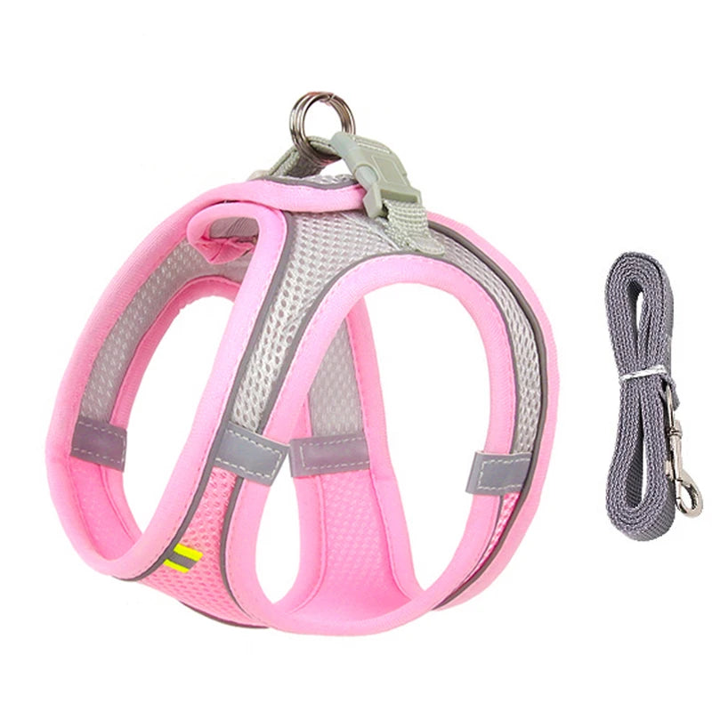 Pawfect Dog Harness & Leash Set for Small Dogs & Cats