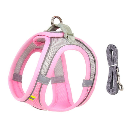 Pawfect Dog Harness & Leash Set for Small Dogs & Cats