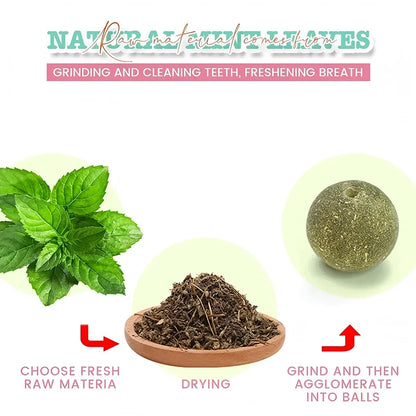 Pawfect Catnip Wall Balls – Natural Cat Mint Toys for Enrichment & Oral Health