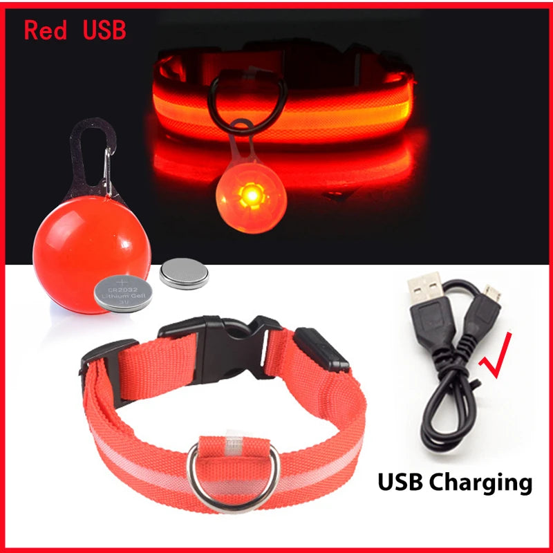 Pawfect Luminous Dog Collar & Detachable Pendant Set