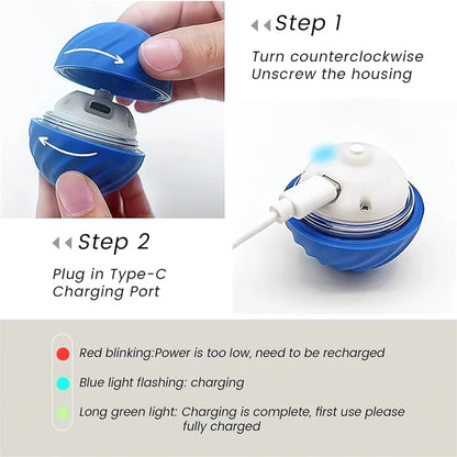 Pawfect Automatic Rolling Ball
