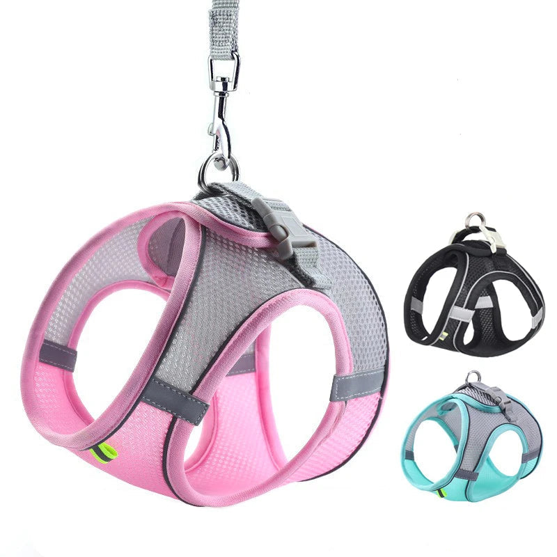 Pawfect Dog Harness & Leash Set for Small Dogs & Cats