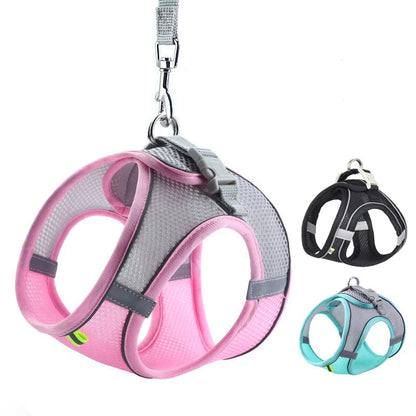 Pawfect Dog Harness & Leash Set for Small Dogs & Cats