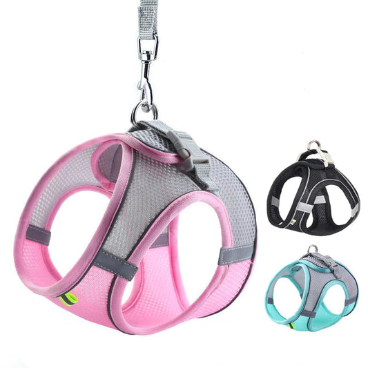 Pawfect Dog Harness & Leash Set for Small Dogs & Cats