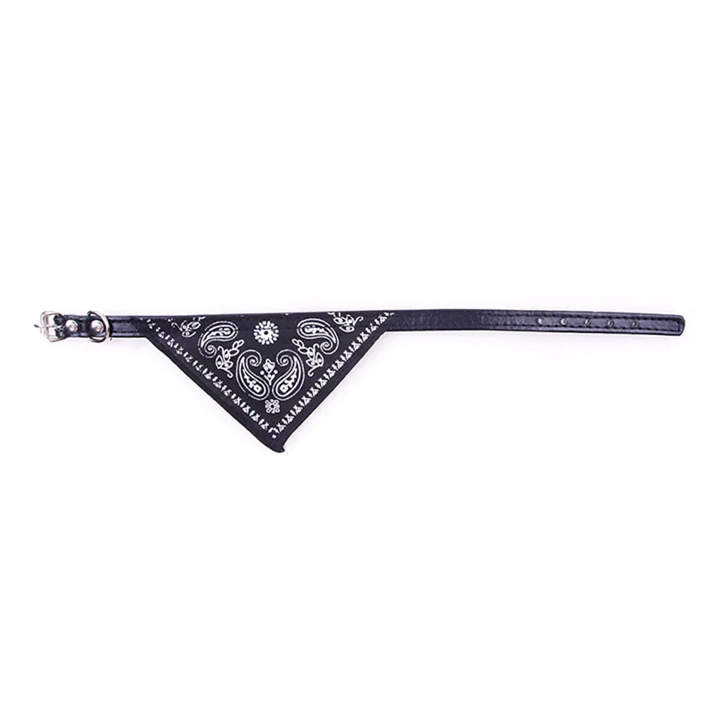 Pawfect Cat Bandana Collar