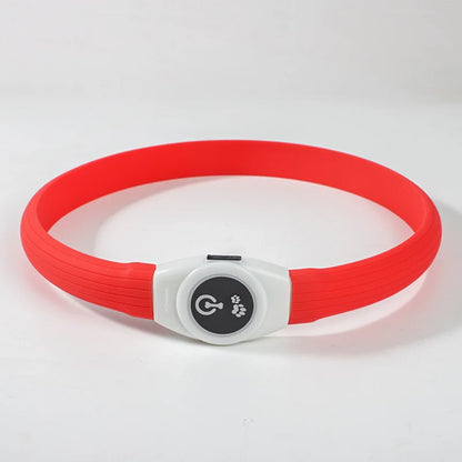Pawfect Led Luminous Spot Collar - USB Rechargeable