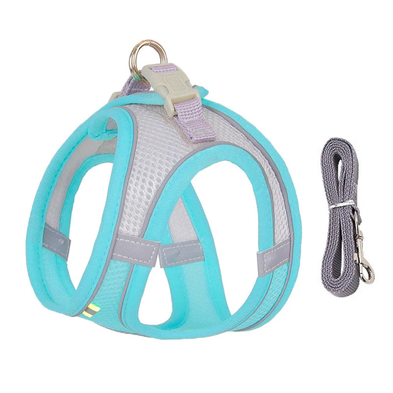Pawfect Dog Harness & Leash Set for Small Dogs & Cats