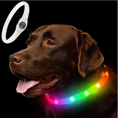 Pawfect Led Luminous Spot Collar - USB Rechargeable