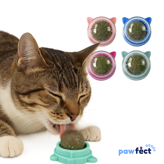 Pawfect Catnip Wall Balls – Natural Cat Mint Toys for Enrichment & Oral Health