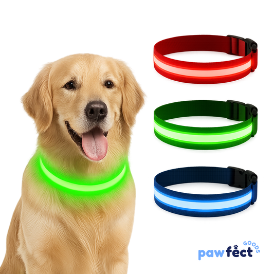 Pawfect Luminous Dog Collar & Detachable Pendant Set
