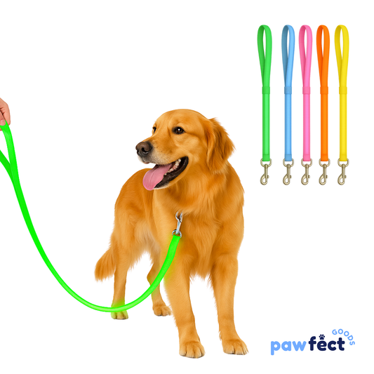 Pawfect LumiLeash - USB Rechargeable LED Dog Leash